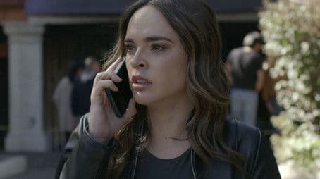 Dos pájaros de un tiro