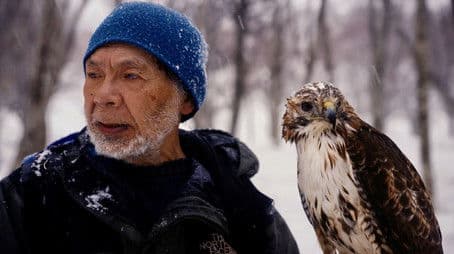 The Falconer's Legacy