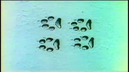 Myths and Superstitions