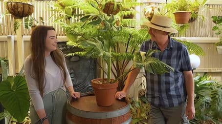 Episode 7 Wildlife Garden, Aroid, Cactus & Edible Weeds