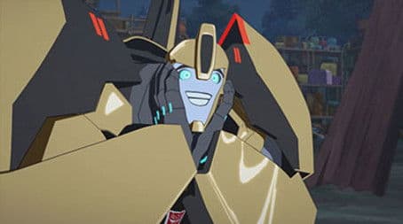 Adventures in Bumblebee-sitting!