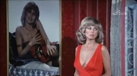 Don Quixote / The Sex Symbol