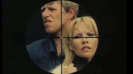 Old Dog With New Tricks