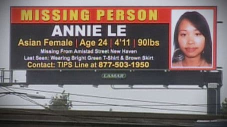 A Genius Disappears: The Annie Le Story