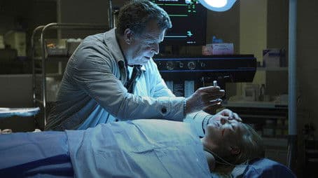 A New Day in the Old Town