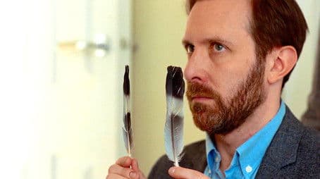 Feathers & Foreskins