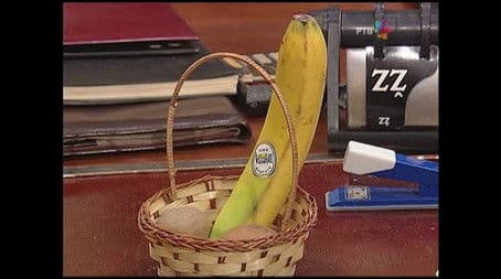 1032 Nek i nas Bog pogleda