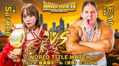 Marigold Fantastic Adventure 2024 - Night 7