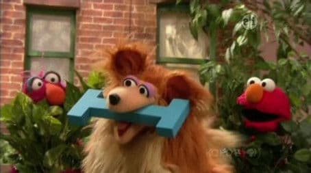 Fetch The Letter ‘I’