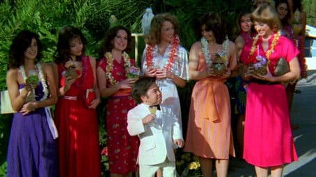 Also Rans / Portrait of Solange