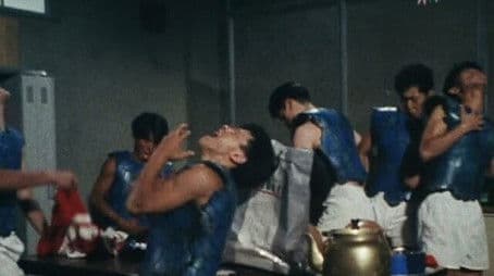 Crash! The Tackle of Friendship