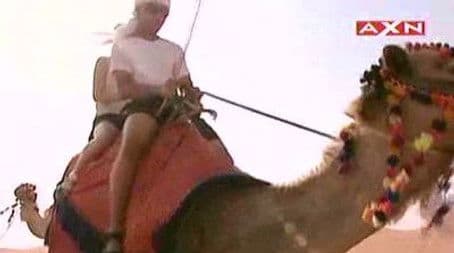 Oh My Goodness, I Have to Eat a Brain!