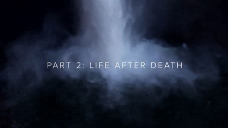 Twin Peaks: The Phenomenon Part 2