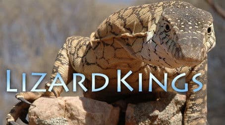 Lizard Kings