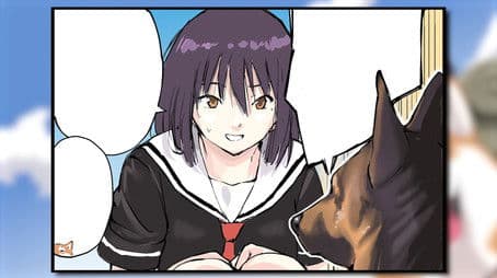 Survivor / Different Dogs / Wolf or Husky?