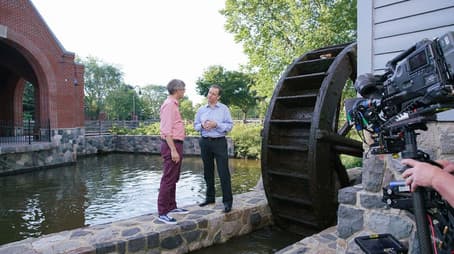 Green Screen Animals