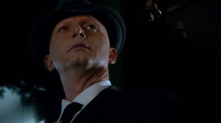 Behind the Story: The Observers