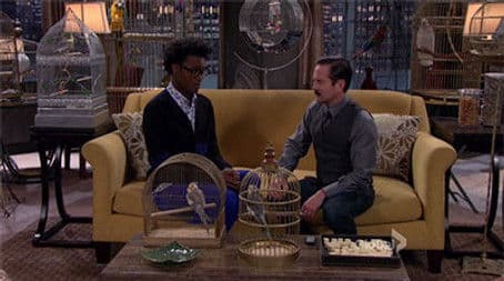 I Know Why the Caged Bird Zings