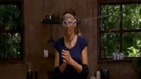 Hell's Kitchen / The Critter Cube