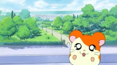 Hamtaro