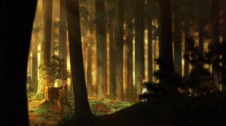 Summary I - The Beginning of the Journey