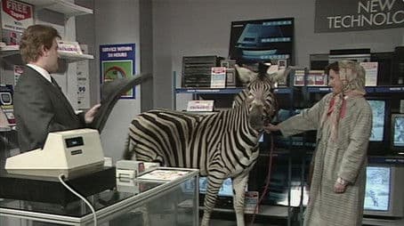 Vanessa Goes Bonkers