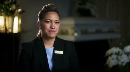 A white heron of a single flight