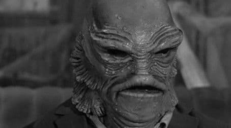 Love Comes to Mockingbird Heights