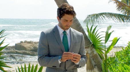 Finale and After the Final Rose