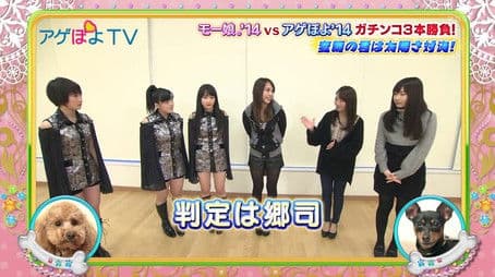 Sayashi Riho, Suzuki Kanon, Kudo Haruka