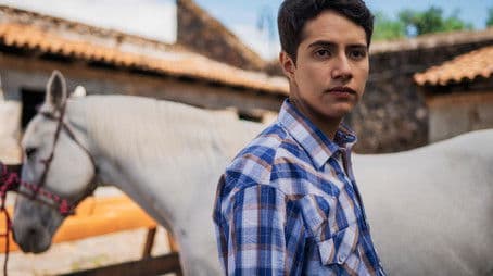 The Serenade of the Machos