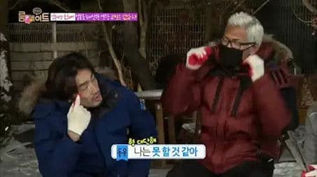 Briquettes For The New Year