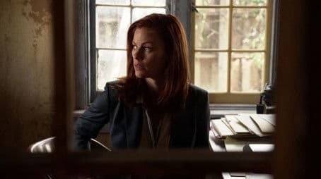 Opiates and Antibiotics