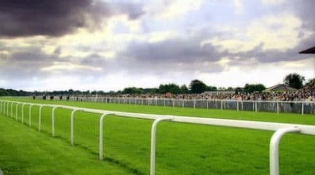 Signing Up to Wealth