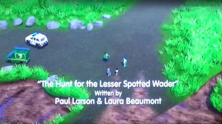 The Hunt for the Lesser Spotted Wader