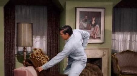 A Very Special Delivery