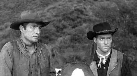 Incident of the Murder Steer