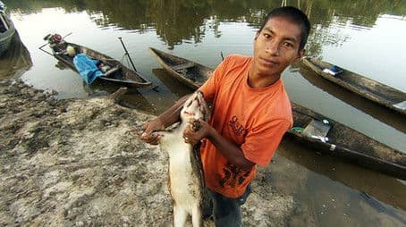 The Birth of the Free Market