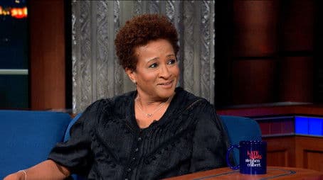 Wanda Sykes, Ronan Farrow