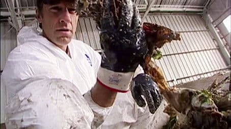 Garbage Pit Technician