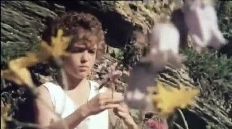 Peter The Goat Herder