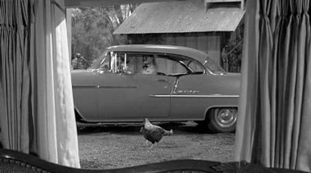 The Case of the Hasty Honeymooner