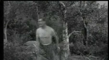 My Horse, the Ranger