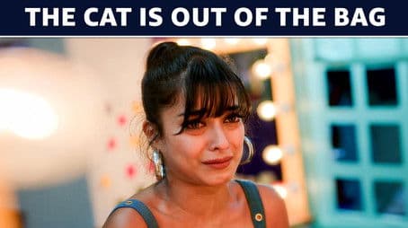 The Cat Is Out The Bag