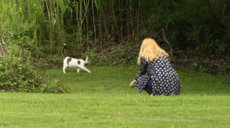 Race From The White House 2004