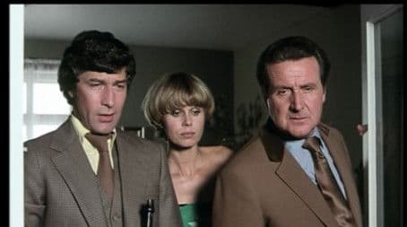 Cat Amongst the Pigeons