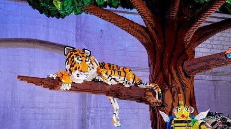 Out on a Limb (Elimination)