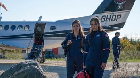 Pilots and Nurses and Bears, Oh My