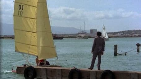 Elegy In A Rain Forest