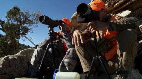 Big Buck Dreams: Mule Deer Special